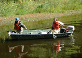 Sea Lamprey Assessment by Boat 