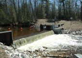 Sea Lamprey Barrier