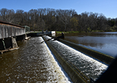 Harpersfield Dam Sea Lamprey Barrier