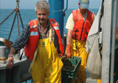 Fish Sampling on Lake Huron