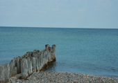 Whitefish Point