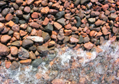 Rocky Shoreline